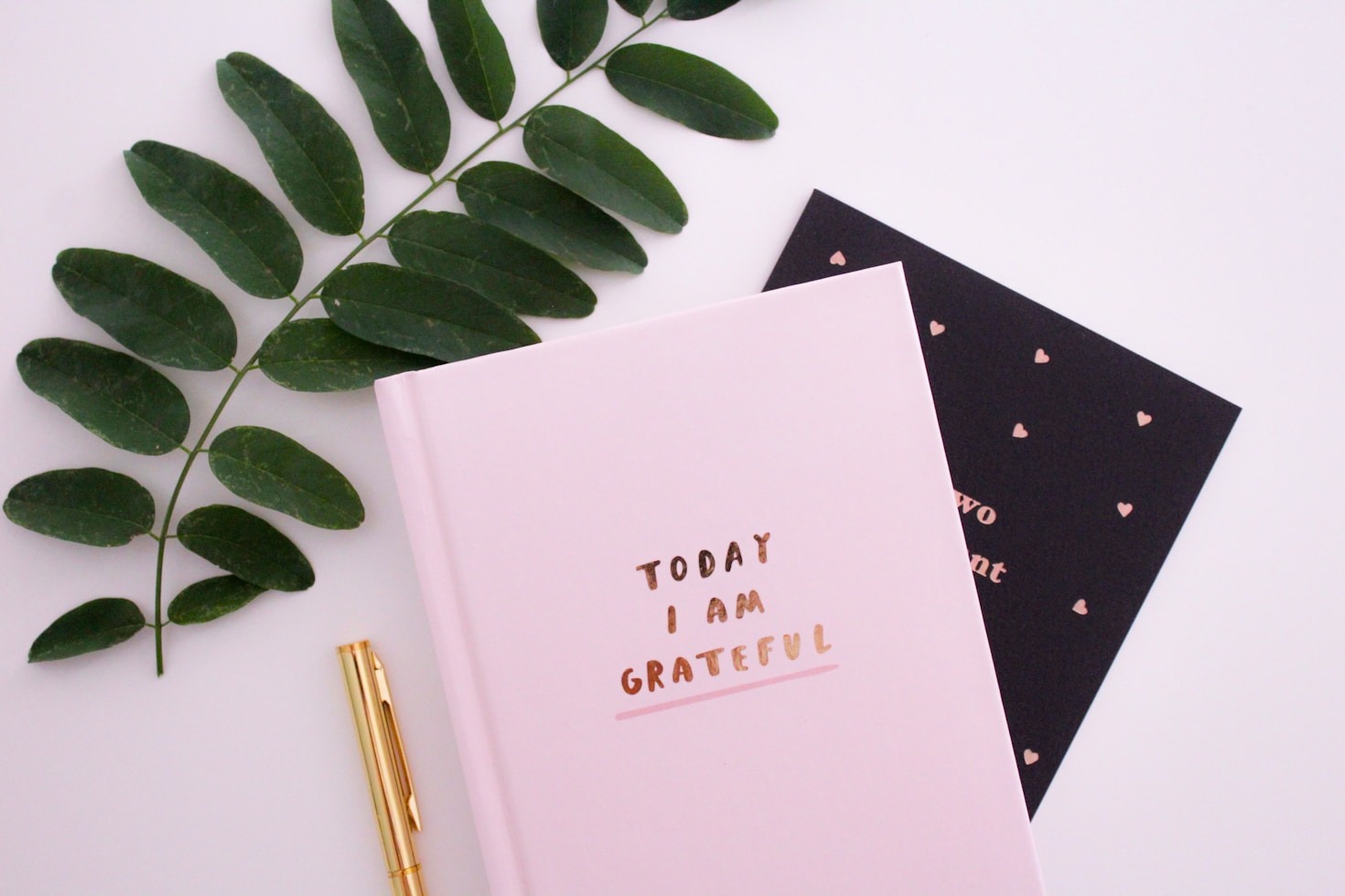 A Journey Through My Most Memorable Days